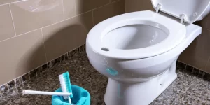 Crystal Toilet Bowl Cleaner: How to Keep Your Toilet Sparkling Clean