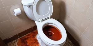 Get Rust Out of Toilet Bowl: Effective Solutions for Tough Stains