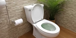 Natural Toilet Tank Cleaner: Eco-Friendly Solutions for Your Bathroom