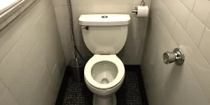 Steam Clean Toilet: How to Use Steam for a Deep Clean