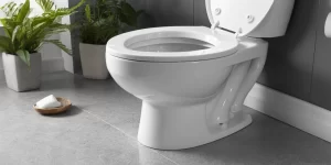 Toilet Bowl Pods: A Convenient Way to Clean Your Toilet