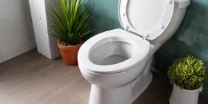 Toilet Bowl Smell Good: Keep Your Toilet Fresh with These Products