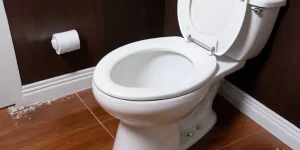 Toilet Bowl Water Stain Remover: How to Remove Water Stains from Your Toilet