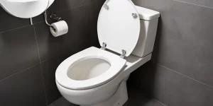Toilet Care: Tips for Maintaining a Fresh and Hygienic Toilet