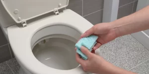 Toilet Cleaning Strips: The New Way to Clean Your Toilet with Ease