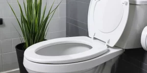 Toilet Descaler Tablets: Do They Really Remove Hard Water Deposits?