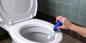 Toilet Ring Remover: How to Get Rid of Stubborn Stains Fast