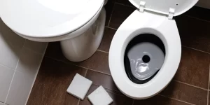 TRR Toilet Ring Remover: How to Get Rid of Toilet Ring Stains