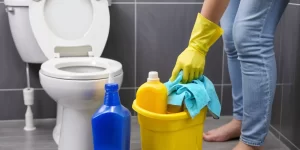 Are Disposable Toilet Cleaners Worth It? Pros and Cons