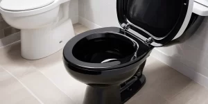 Best Toilet Bowl Cleaner for Black Stains: How to Get Rid of Black Toilet Stains
