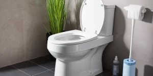 Best Toilet Cleaner for Limescale: Top Products for Mineral Deposits