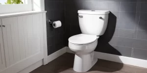 Best Way to Clean a Toilet Seat: Tips for a Fresh and Hygienic Bathroom