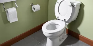 Best Way to Remove Toilet Bowl Stains: Tried and Tested Methods