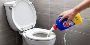 Bleach Toilet Cleaner: Pros and Cons of Using Bleach in Your Toilet