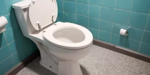 Calcium in Toilet Bowl: Effective Methods for a Spotless Finish