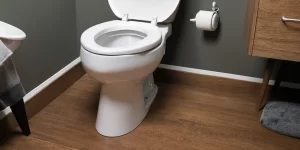 Clean Tough Toilet Stains: Expert Tips and Top Products