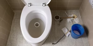 Cleaning Scale from Toilet Bowl: How to Tackle Tough Build-Up