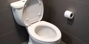 Easy to Clean Toilet: What Features Make Cleaning Simple?