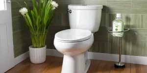 Environmentally Friendly Toilet Cleaner: Green Cleaning Made Easy