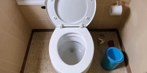 Remove Hard Stains from Toilet Bowl: Expert Tips and Top Products