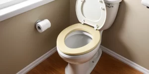 Removing Urine Stains from Toilet Bowl: Simple and Effective Solutions