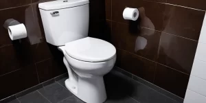 The Works Toilet: How Effective Is It for Tough Stains and Build-Up?