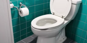 Toilet Disinfectant: The Best Germ-Killing Formulas