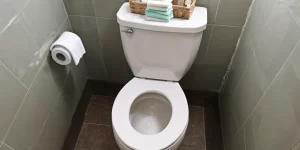 Toilet Limescale Remover: How to Get Rid of Stubborn Build-Up